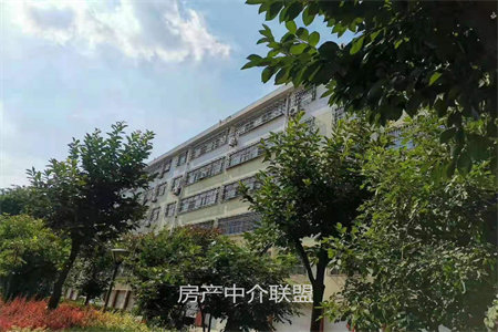 舜王格林公馆1室1厅1卫31万54.01m2出售，价格可议